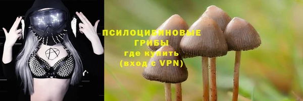 Альфа ПВП Нефтекумск