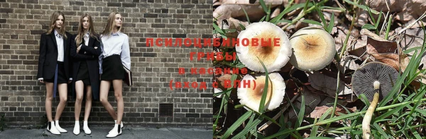 COCAINE Вяземский