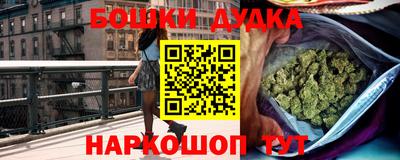 apvp Канаш