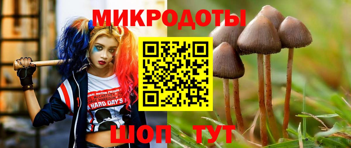 Псилоцибиновые грибы Psilocybine cubensis  Вход с VPN  где можно купить наркотик  Отрадный 