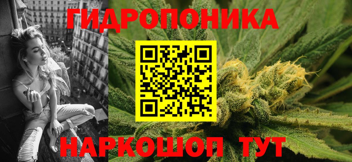 Канабис Bruce Banner Отрадный